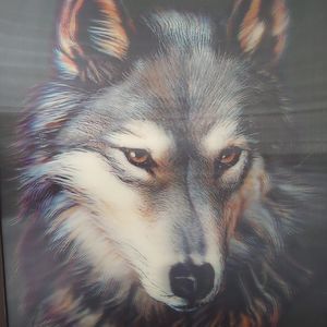 Meet your Posher, Dani